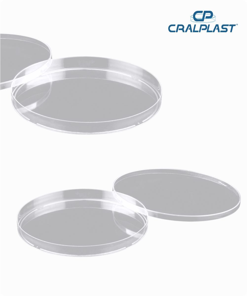 Placa de petri PS140mmx15mm estéril